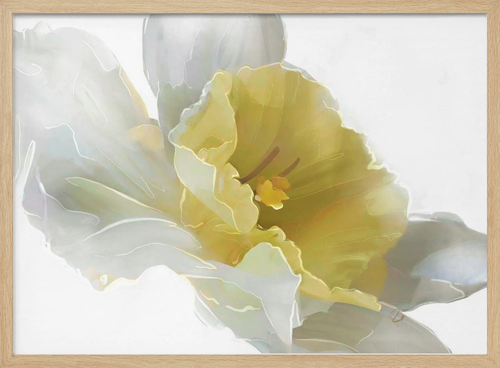 Narcis | Poster