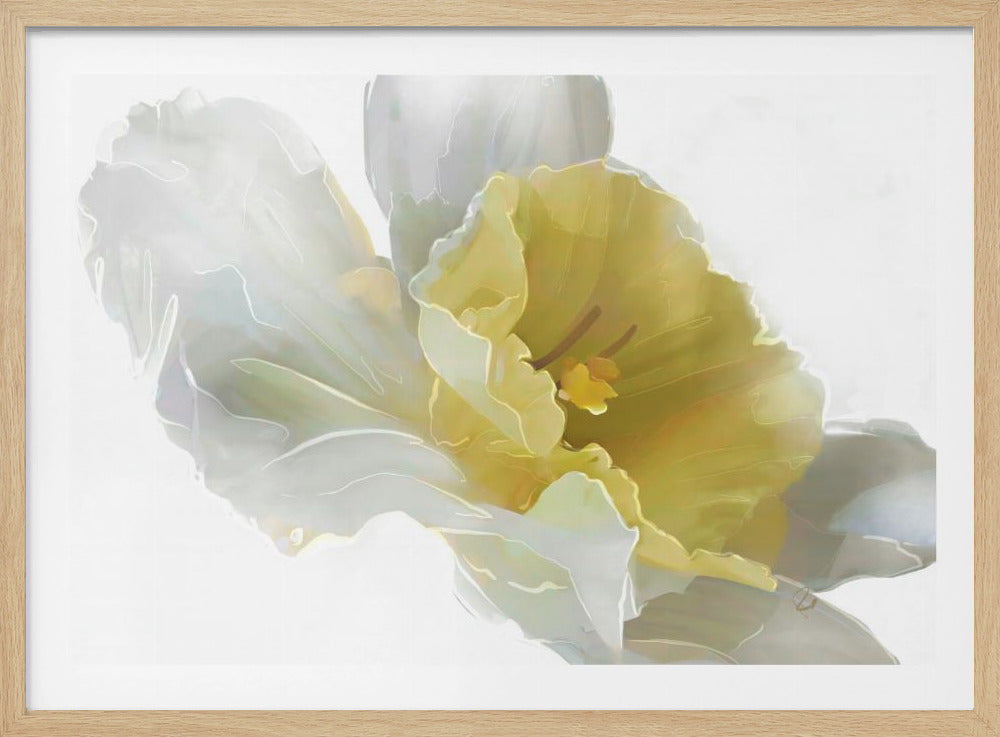 Narcis | Poster