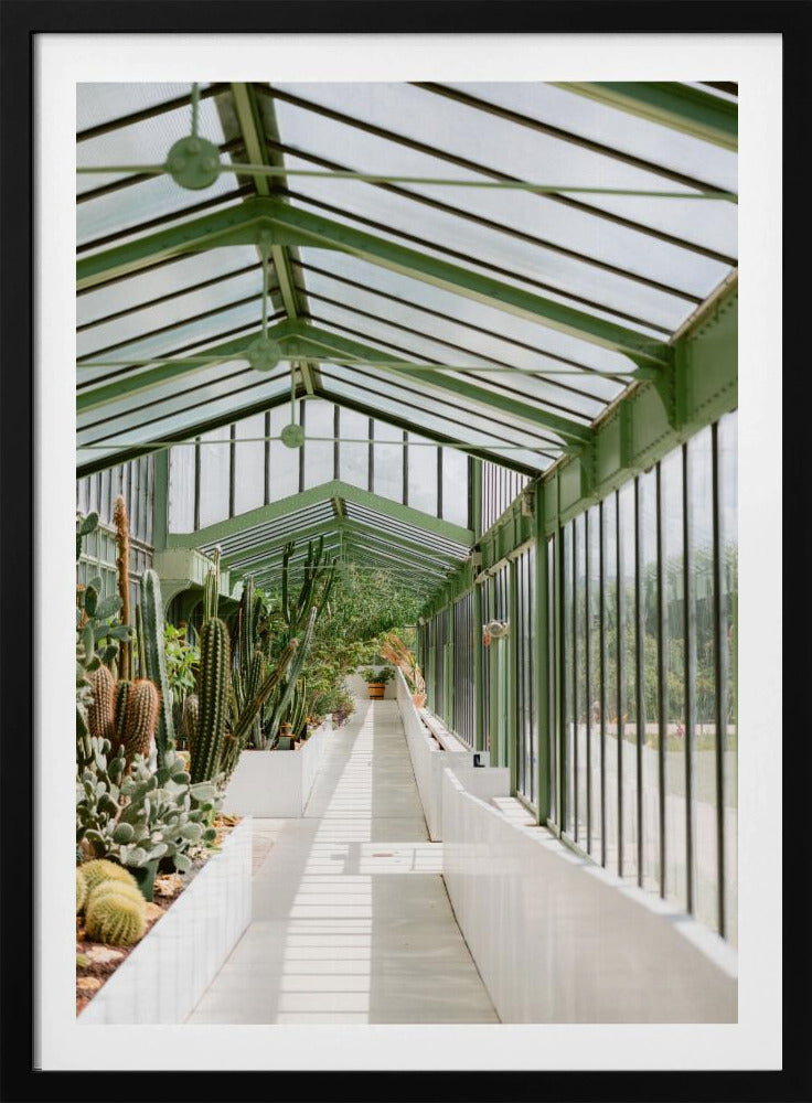 Botanische tuin van Parijs | Poster