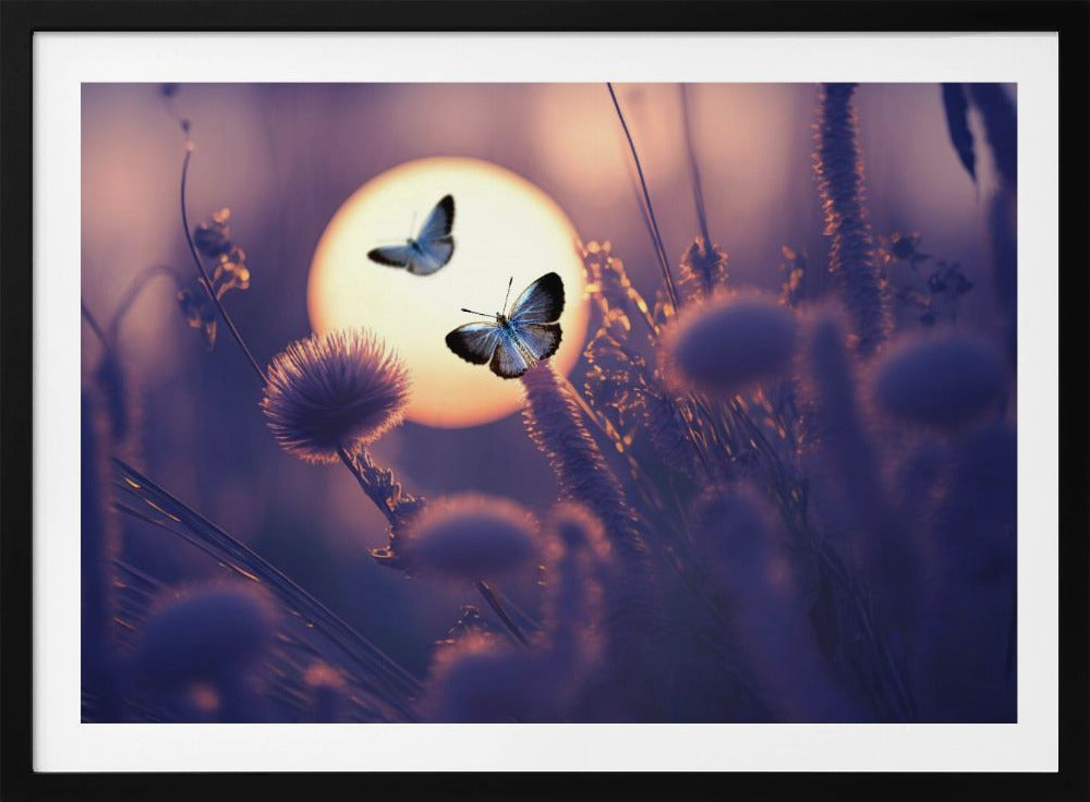 Believe You Can Fly | Poster