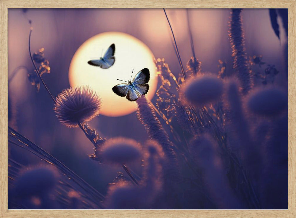Believe You Can Fly | Poster