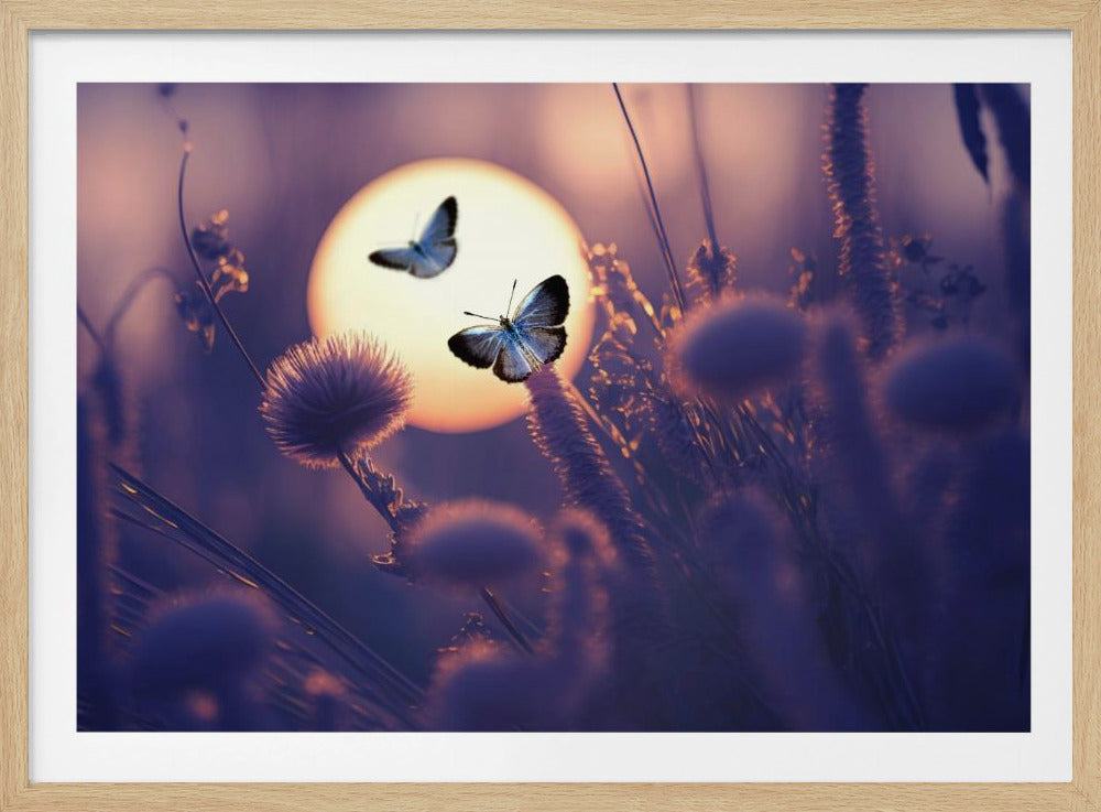 Believe You Can Fly | Poster