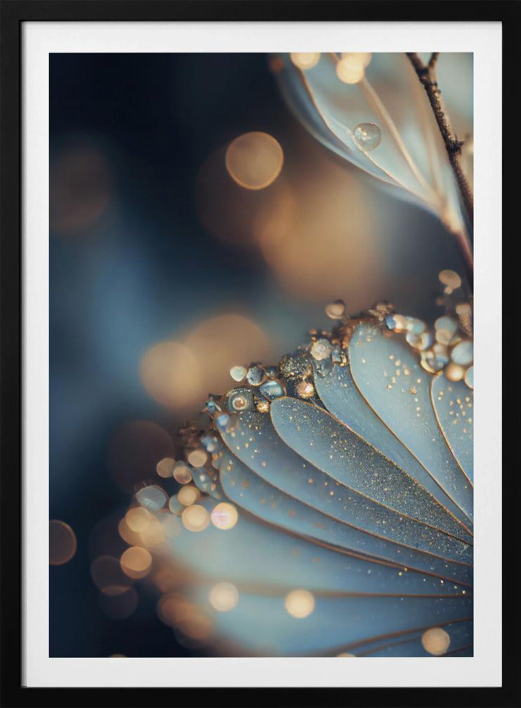 Dauwbloemige elegantie | Poster