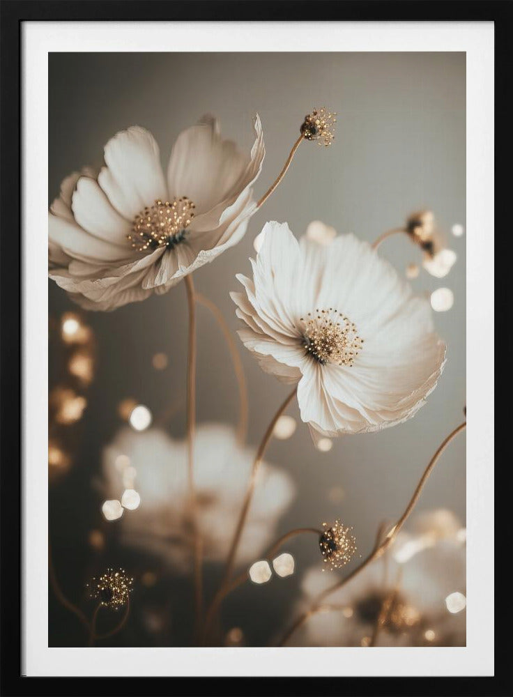 Bloemblaadjesgloed | Poster