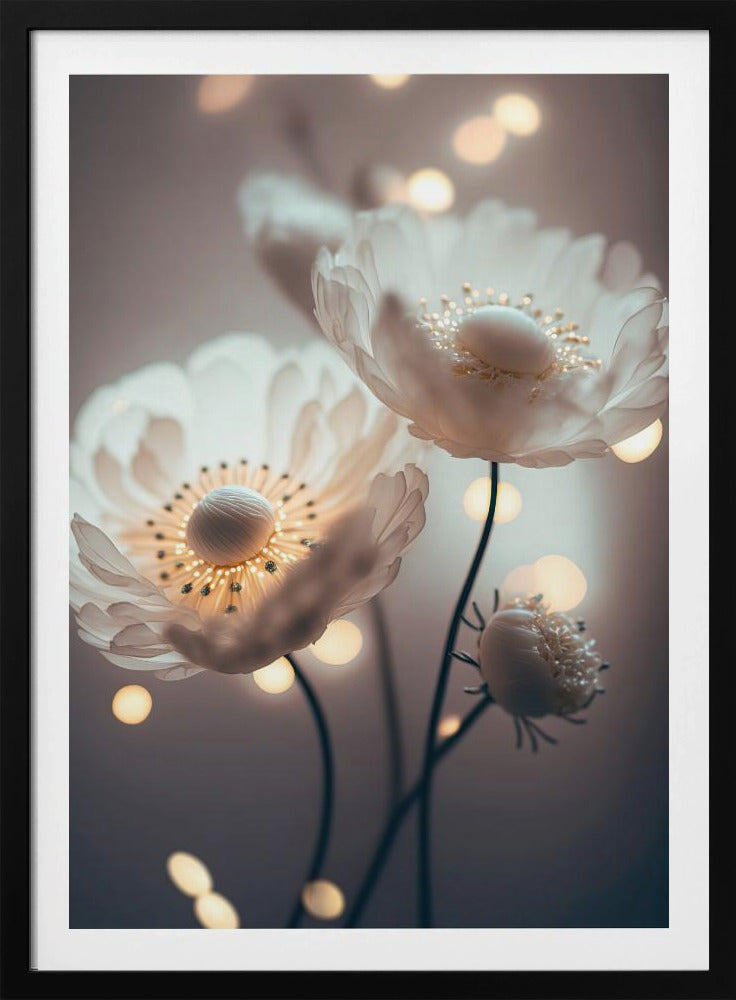 Dromerige bloesems | Poster
