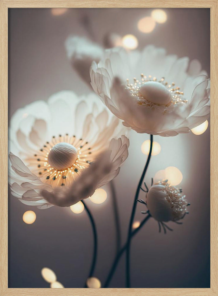 Dromerige bloesems | Poster