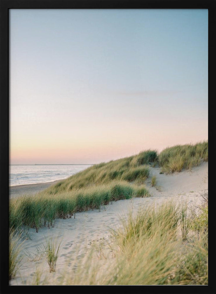 Nederlandse Duinen | Poster