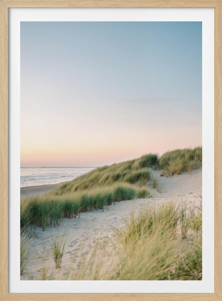 Nederlandse Duinen | Poster