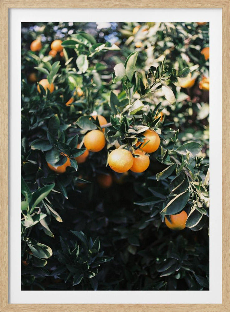 Marrakesh Sinaasappels | Poster