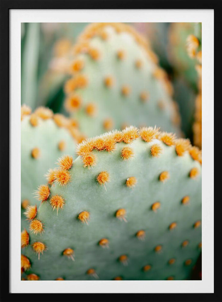 Oranje en Groen II - Botanische fotografie van Marrakech | Poster