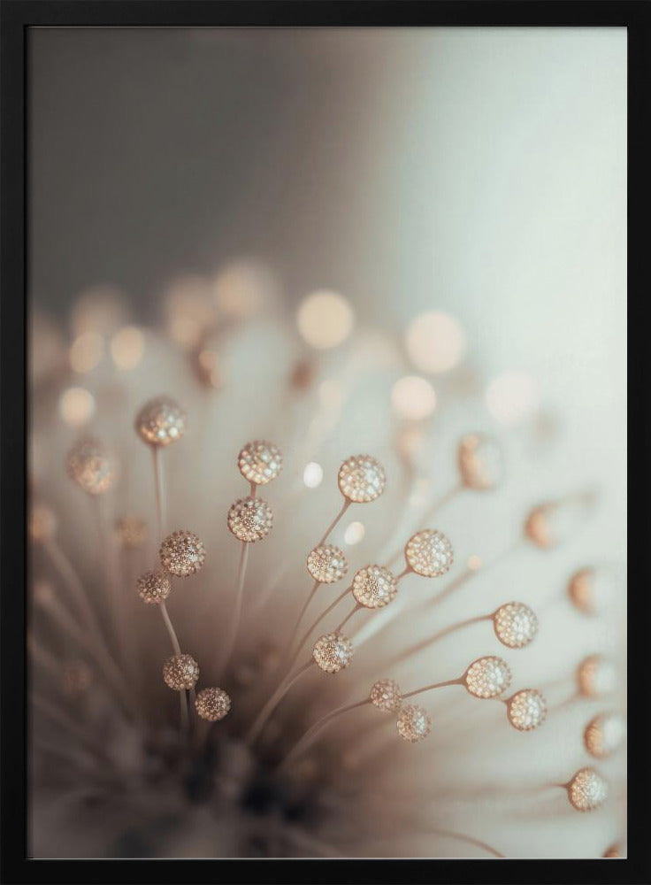 Dreamy Dandelion | Poster