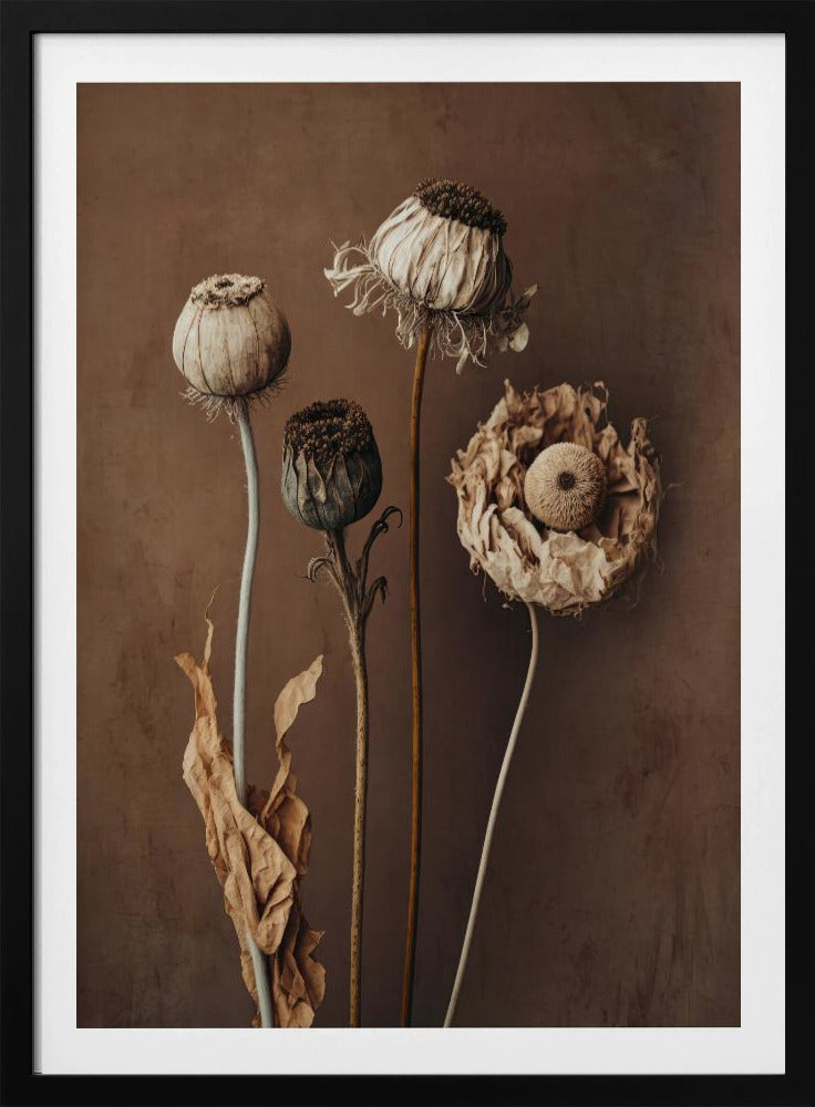 Vervaagde elegantie | Poster