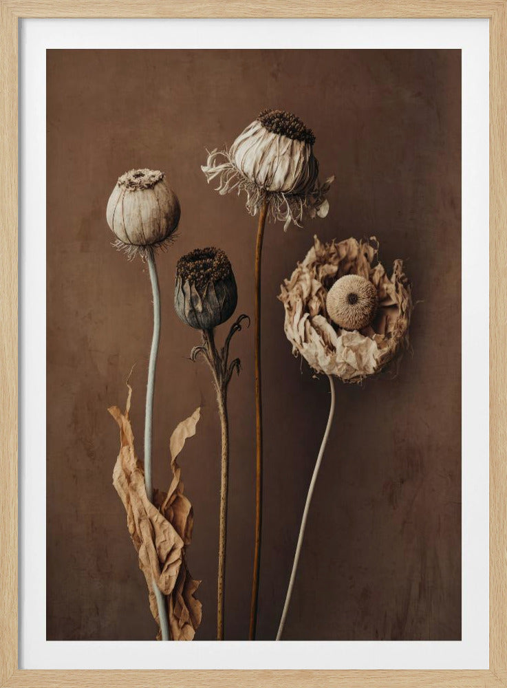 Vervaagde elegantie | Poster