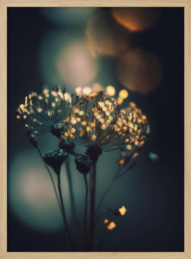 Betoverde Bloesems | Poster