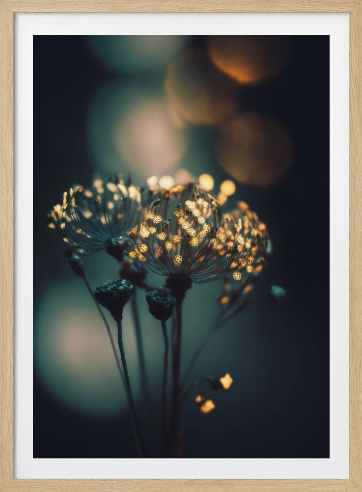 Betoverde Bloesems | Poster