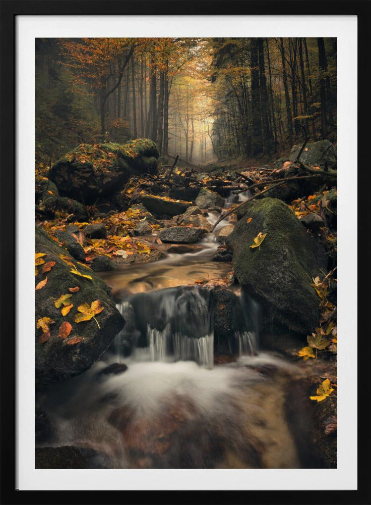 Dromerige herfst | Poster