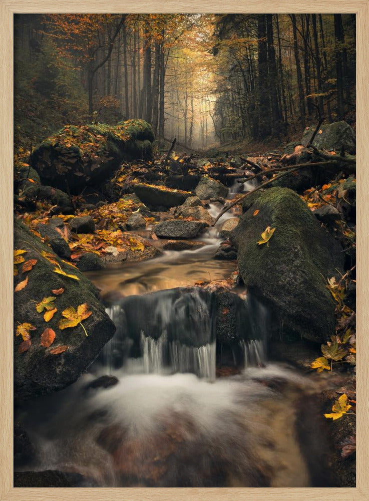 Dromerige herfst | Poster