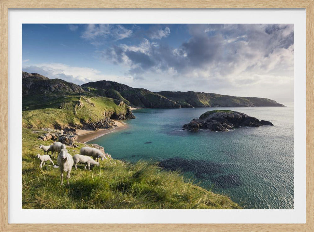 Ierse kust | Poster