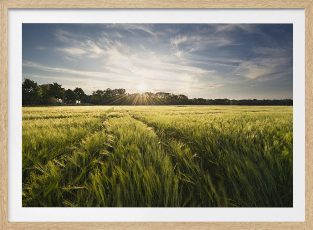 Gerstweide | Poster