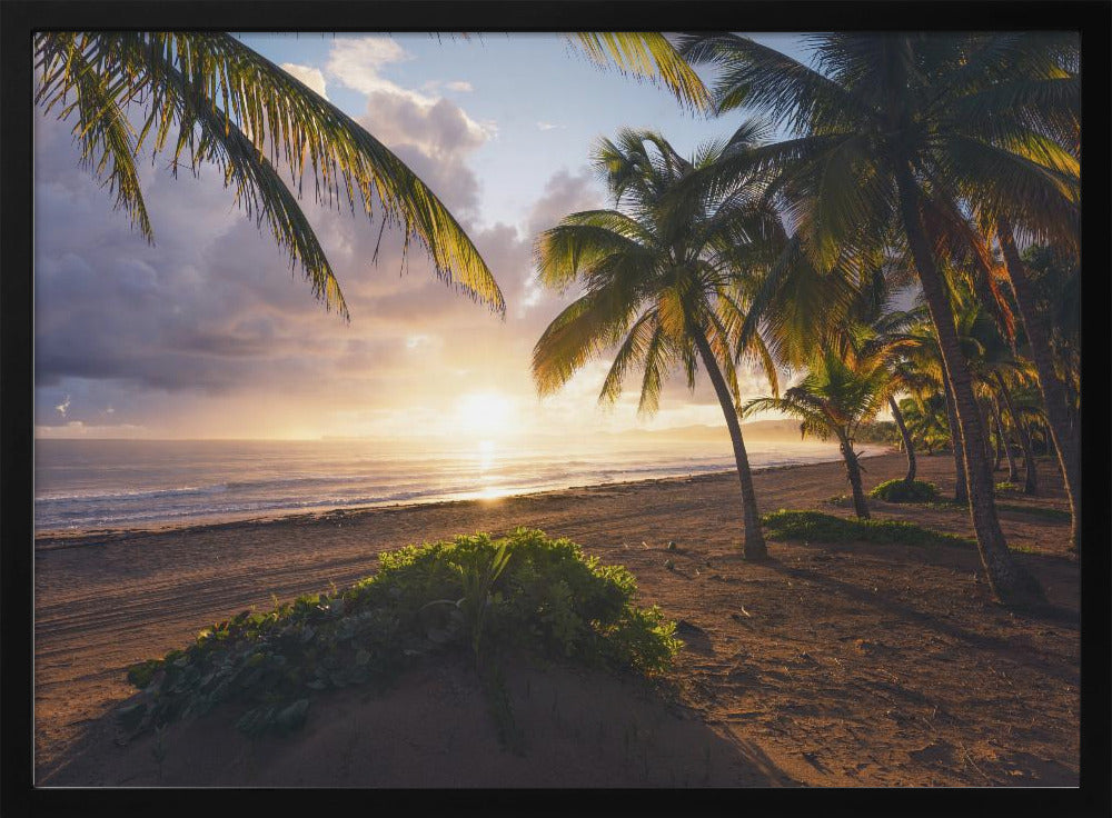 Goedemorgen Paradijs | Poster