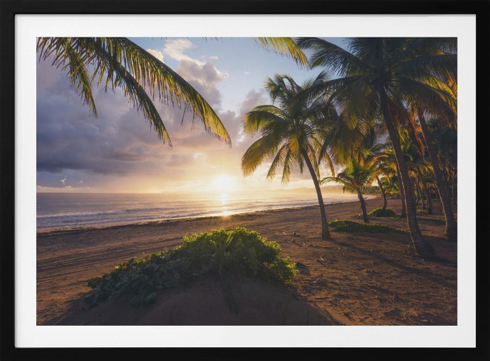 Goedemorgen Paradijs | Poster