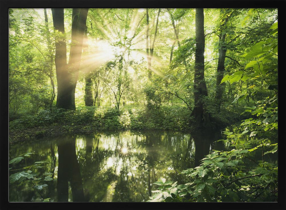 Groen Park | Poster