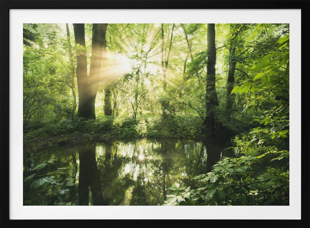 Groen Park | Poster
