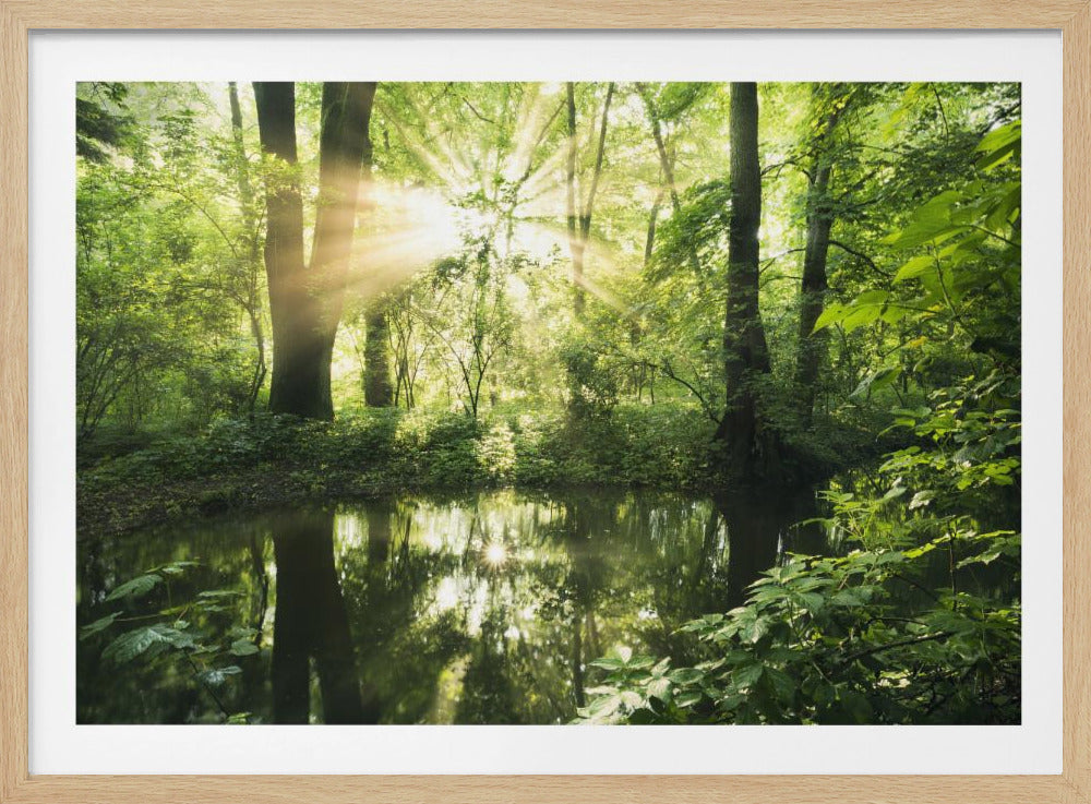 Groen Park | Poster