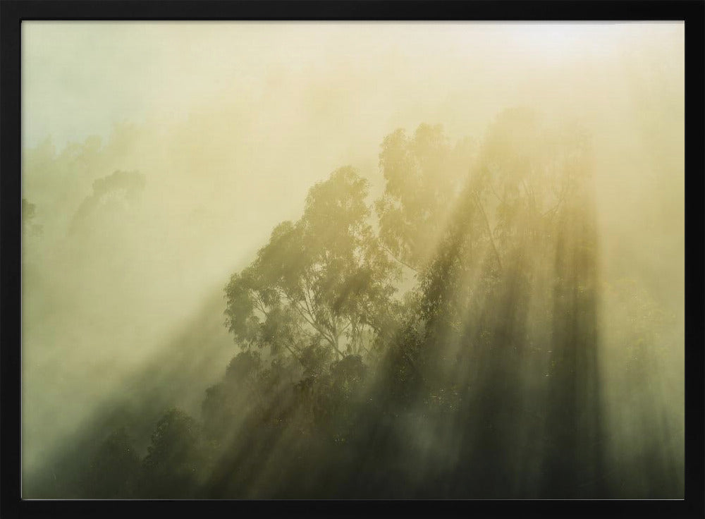 Mistige bossen III | Poster