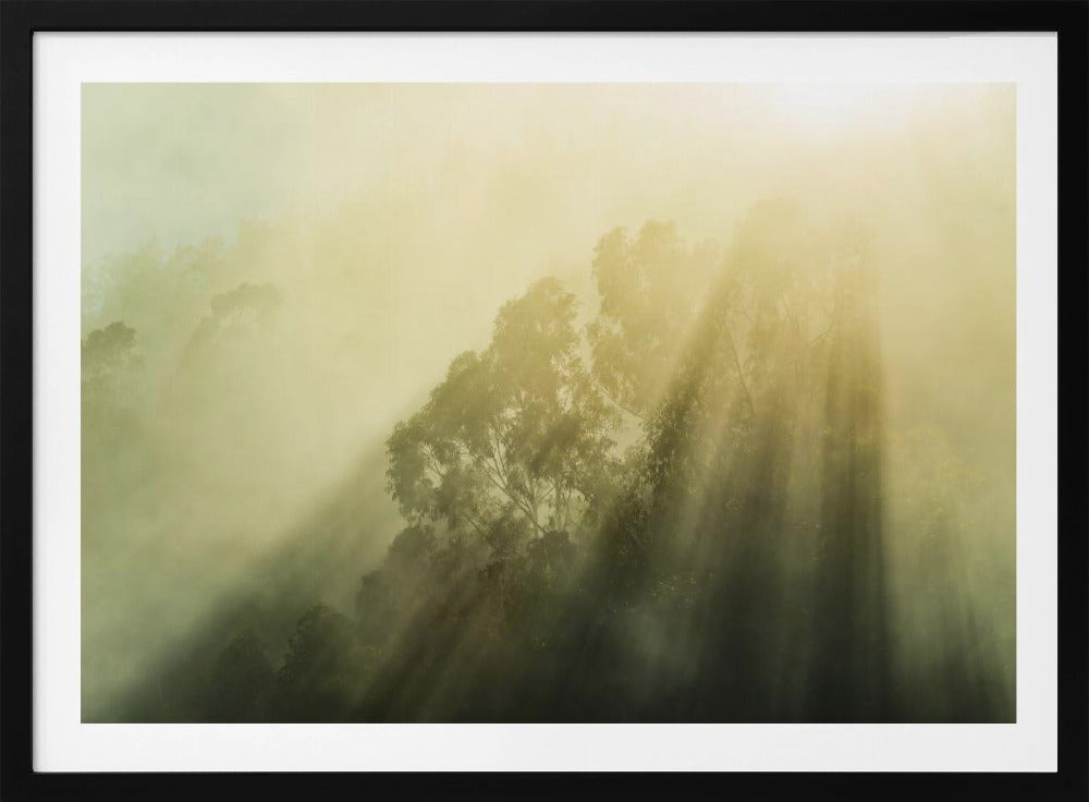 Mistige bossen III | Poster