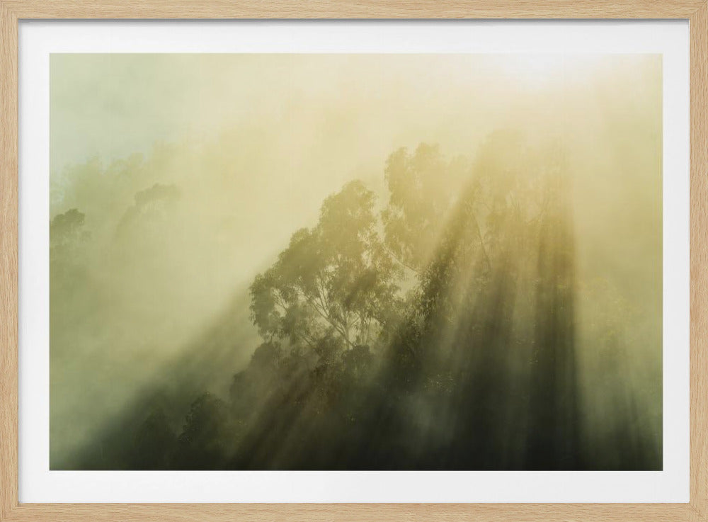Mistige bossen III | Poster