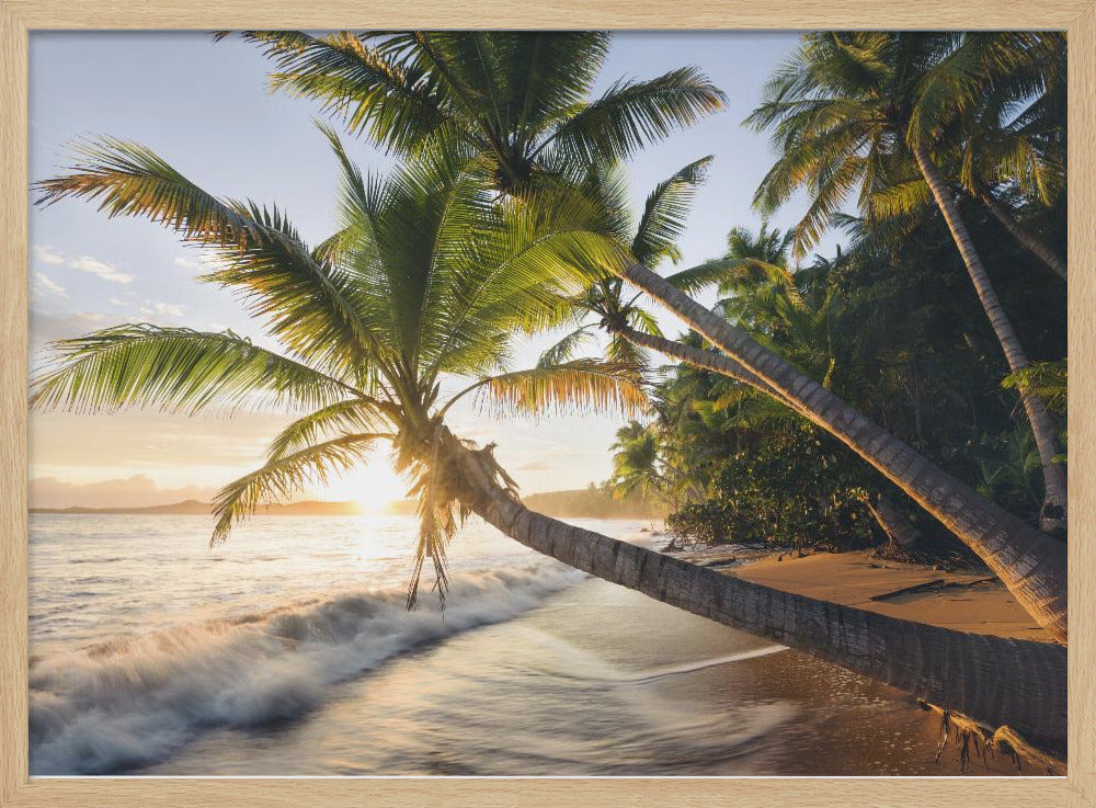 Paradijskust | Poster