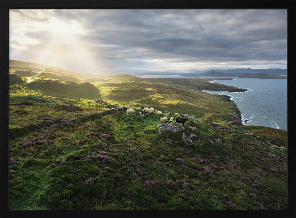 Goedemorgen Ierland | Poster