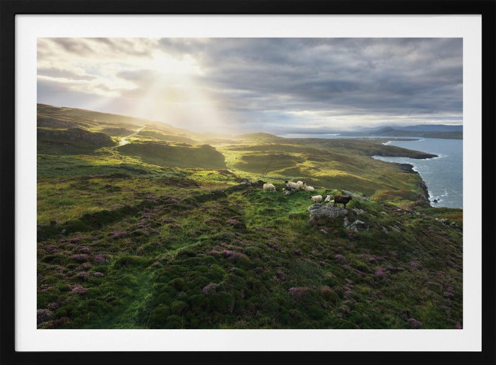 Goedemorgen Ierland | Poster