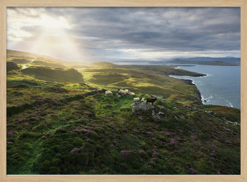 Goedemorgen Ierland | Poster
