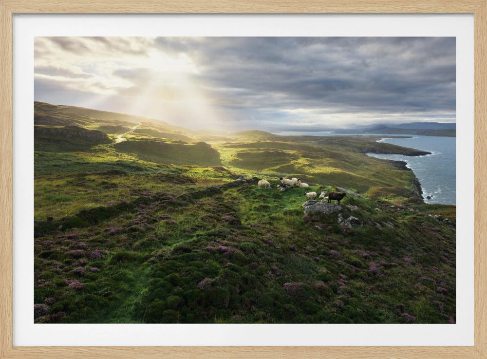 Goedemorgen Ierland | Poster