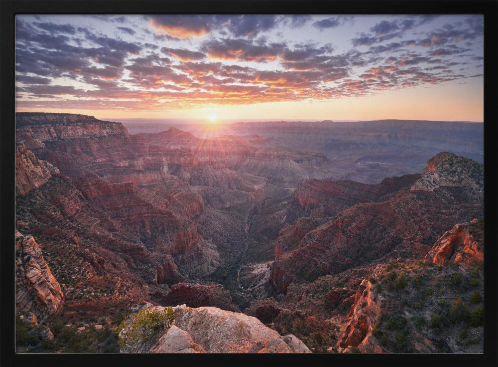 Uitzicht op de Grand Canyon | Poster