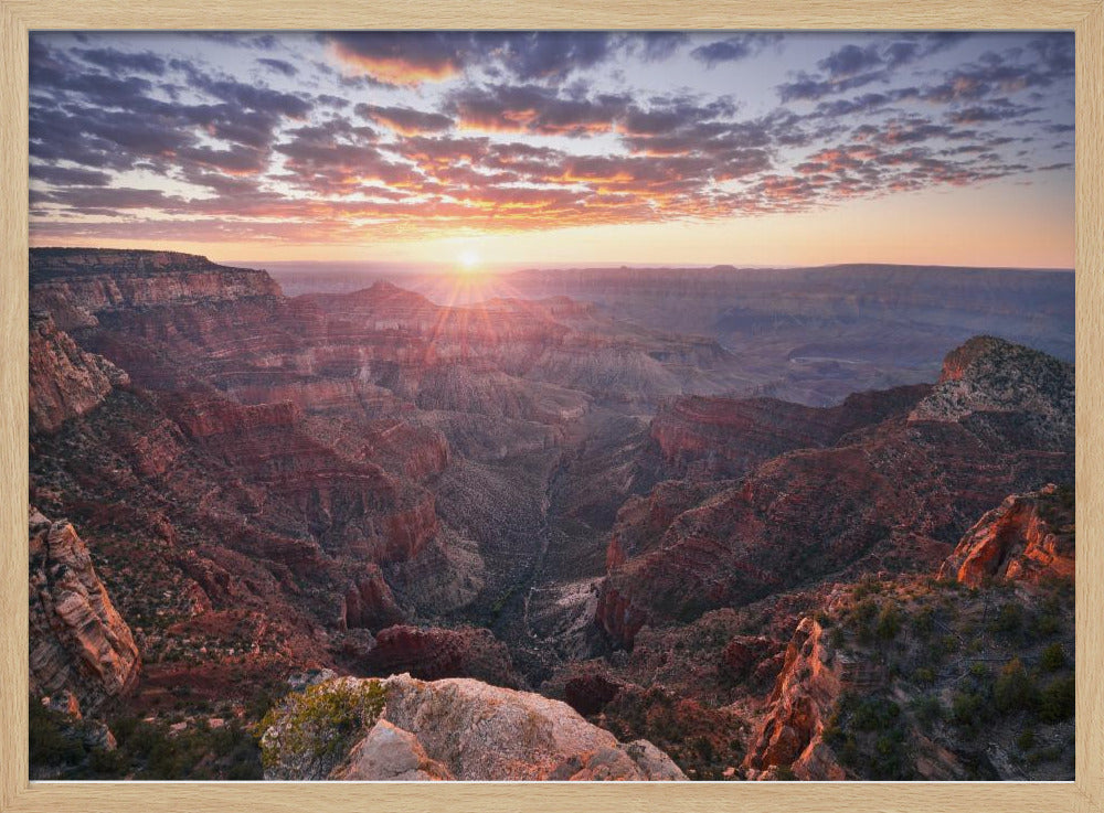 Uitzicht op de Grand Canyon | Poster