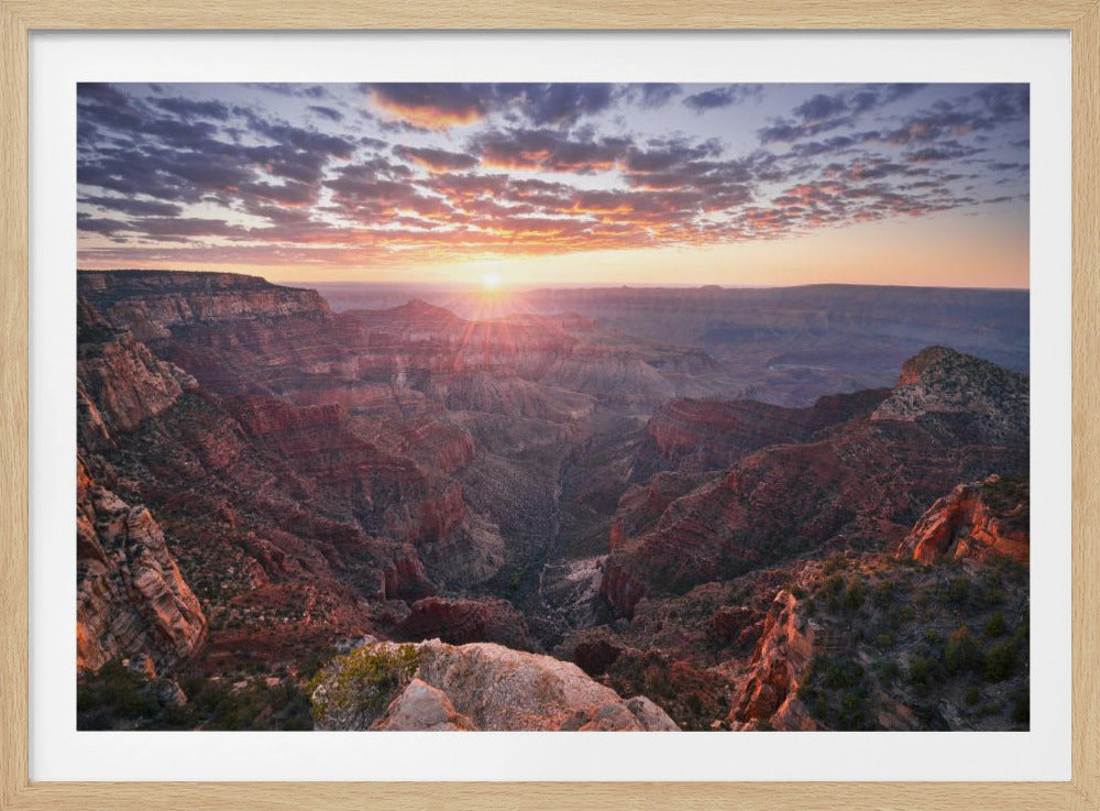 Uitzicht op de Grand Canyon | Poster