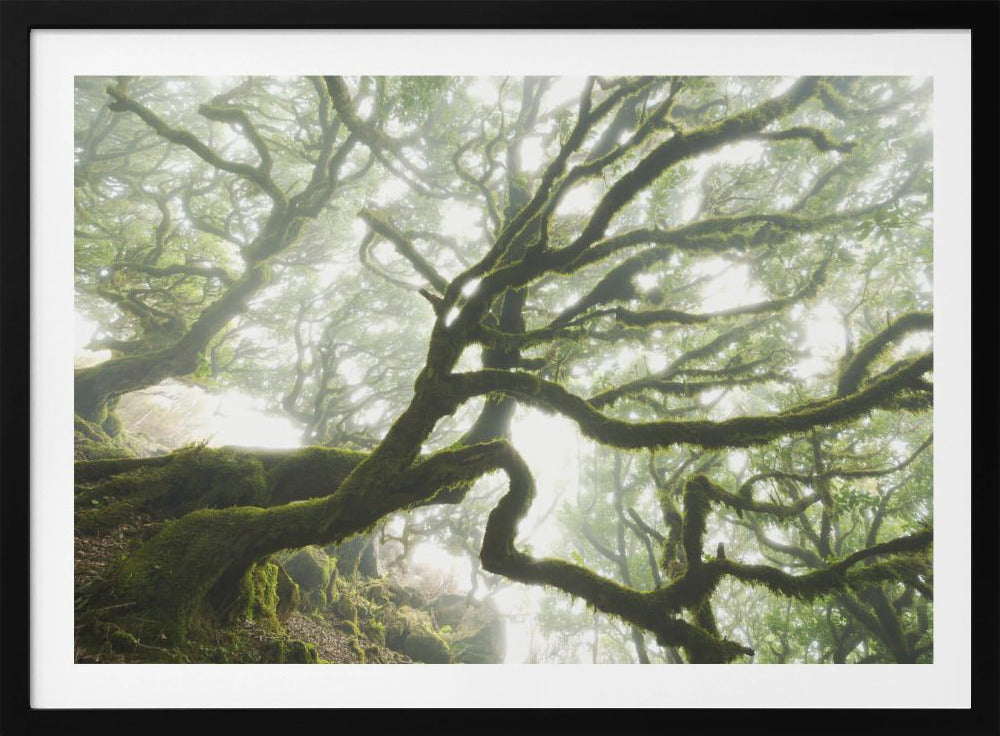 Magisch moment | Poster