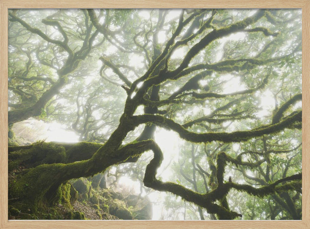 Magisch moment | Poster