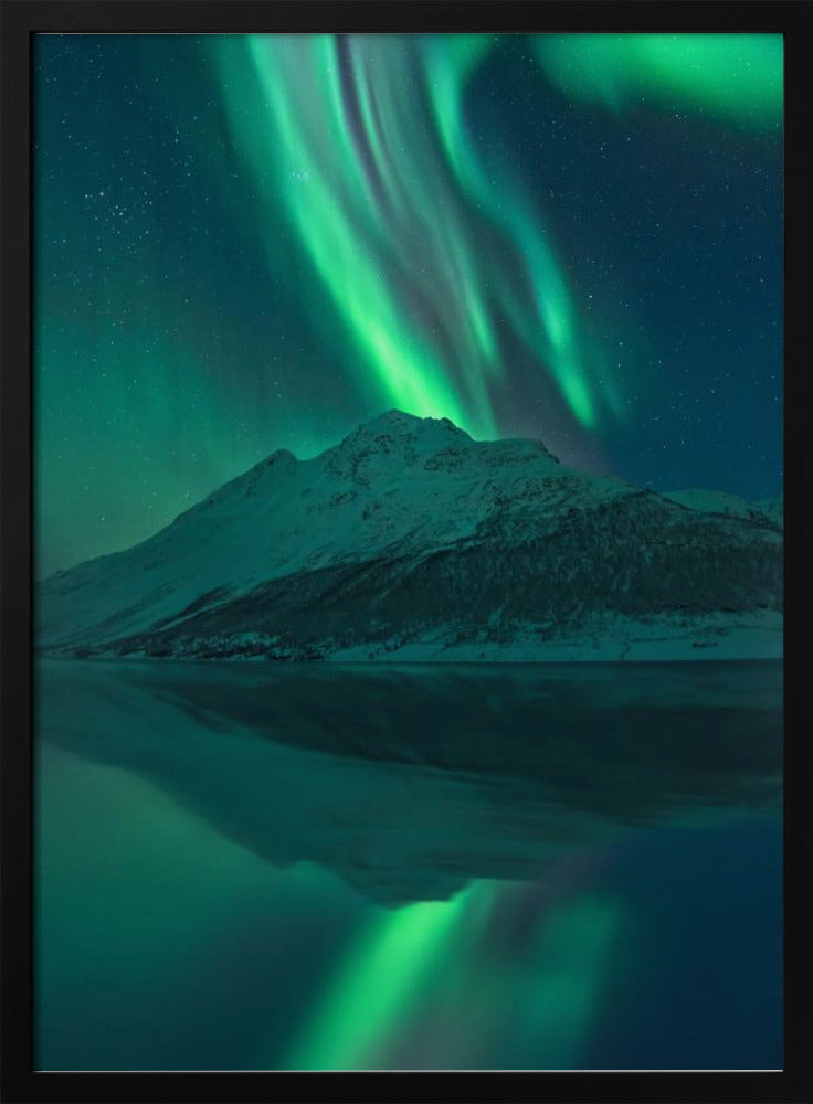 Reflecterende Fee | Poster