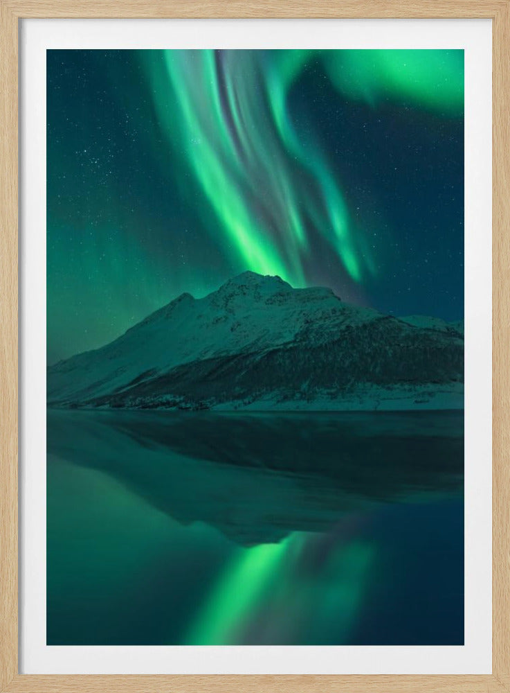 Reflecterende Fee | Poster