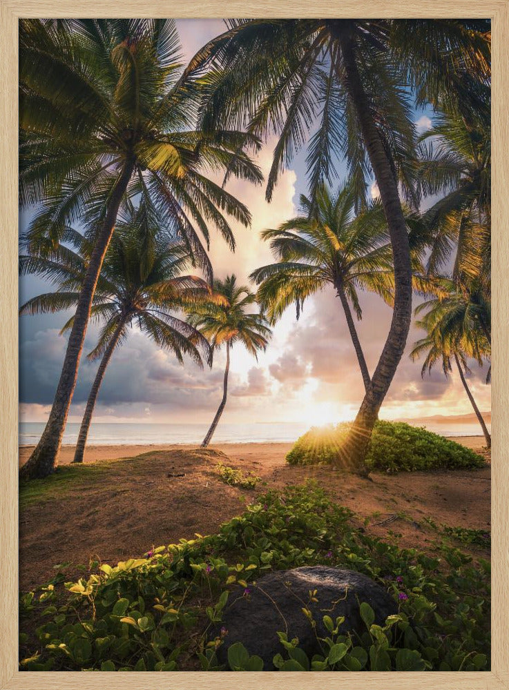 Verticaal Paradijs | Poster