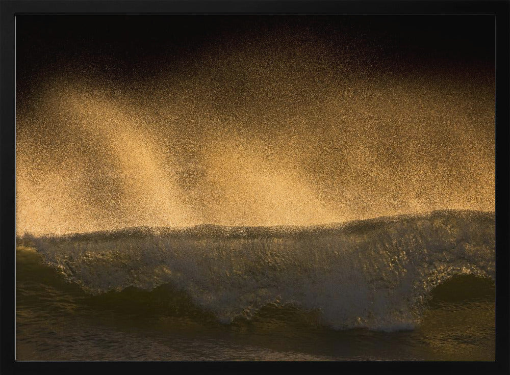 Splash | Poster