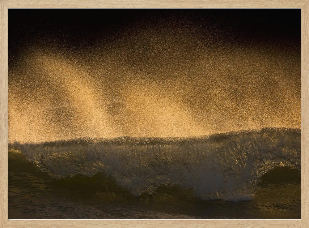 Splash | Poster