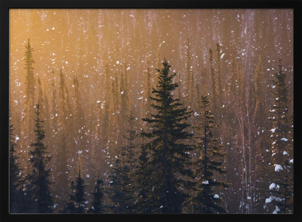 Sneeuwvlokken | Poster
