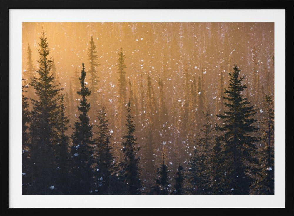 Sneeuwvlokken | Poster