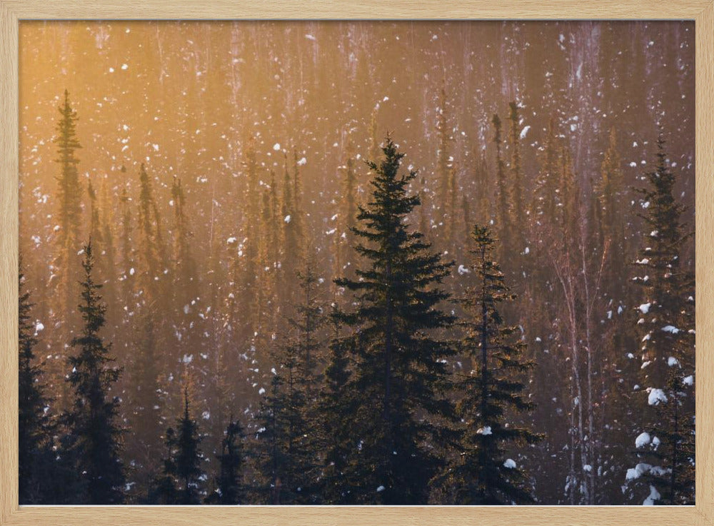 Sneeuwvlokken | Poster