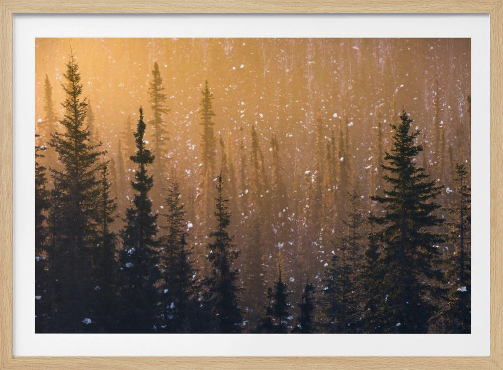 Sneeuwvlokken | Poster